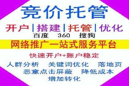 行业内的SEM竞价代运营公司优秀案例剖析
